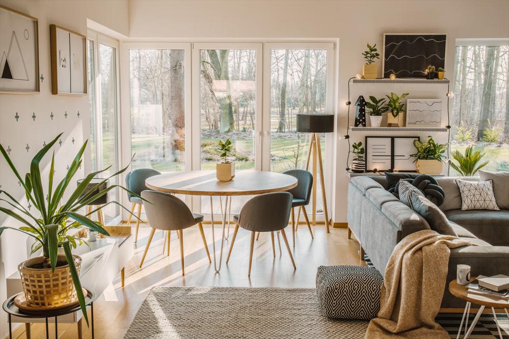 A bright and airy open floor plan featuring area rugs that define separate spaces, complemented by a large indoor plant for a cozy, natural touch.
